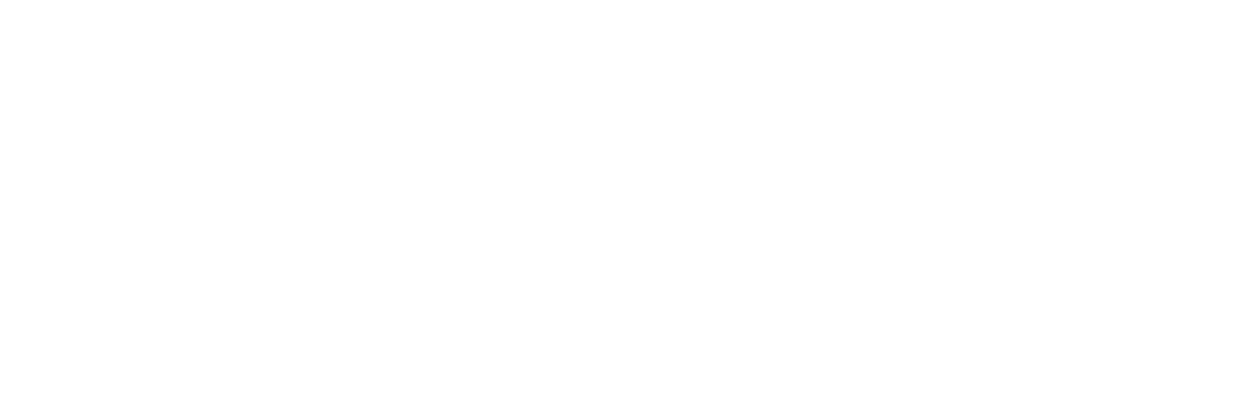 Logo Enjoy