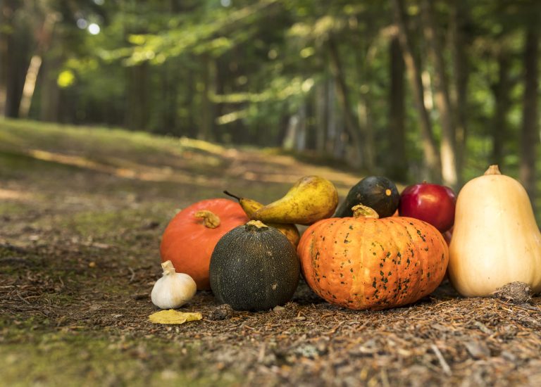 Alimentos de temporada en otoño: qué frutas y verduras comer
